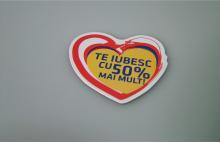 Magnet in forma speciala, logo ROM